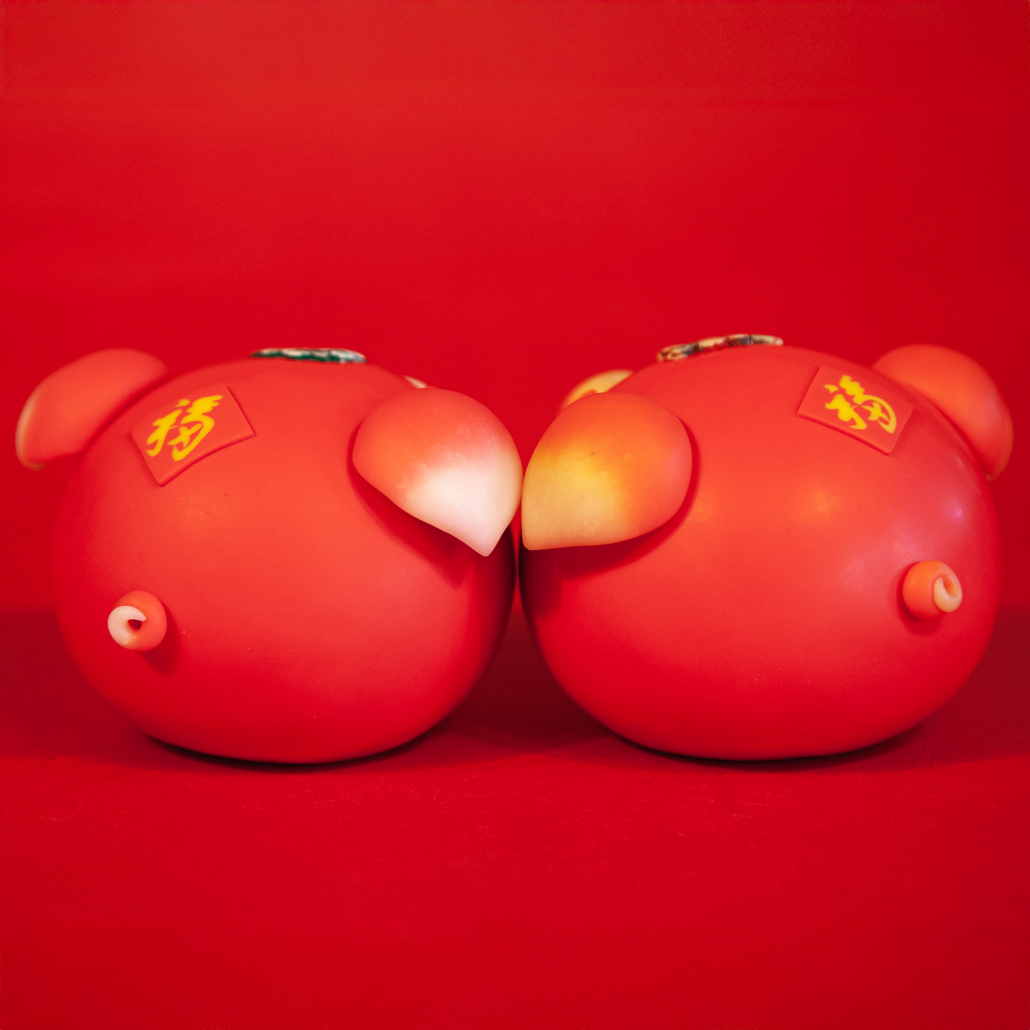 🐖 The Pig — Symbol of Abundance and Gentle Fortune