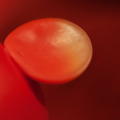 🐀 The Rat — The First Light of Wisdom