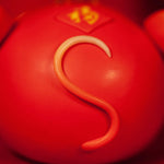 🐀 The Rat — The First Light of Wisdom