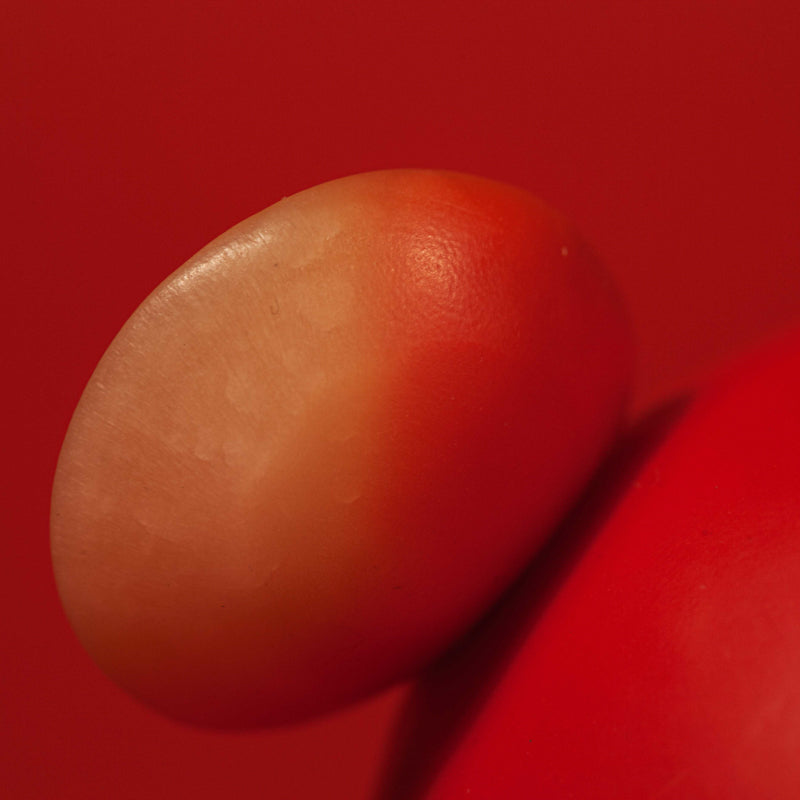 🐀 The Rat — The First Light of Wisdom