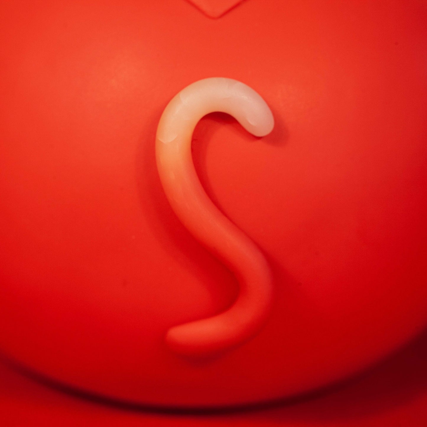 🐅 The Tiger — Guardian of Courage and Power