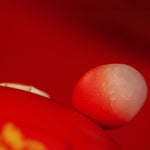 🐅 The Tiger — Guardian of Courage and Power