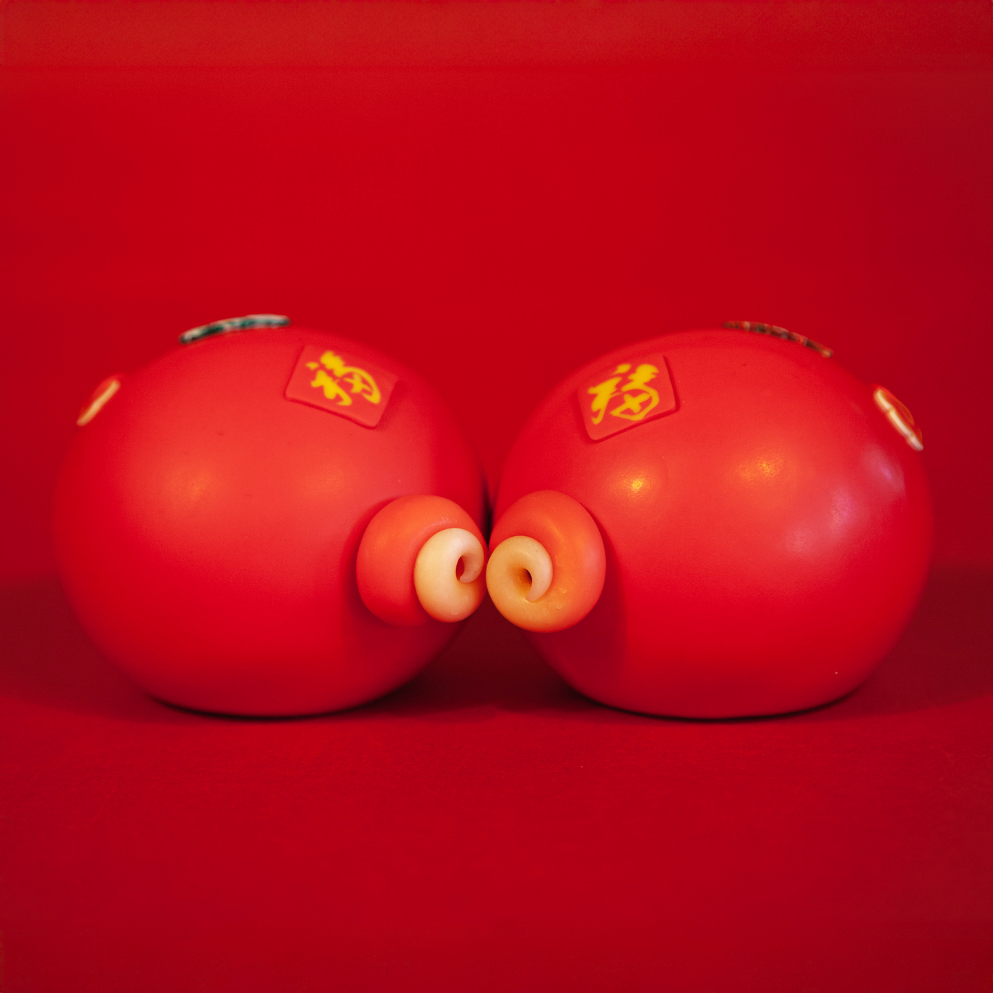 🐍Snake's Whispers — The Art of Transformation