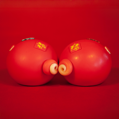 🐍Snake's Whispers — The Art of Transformation