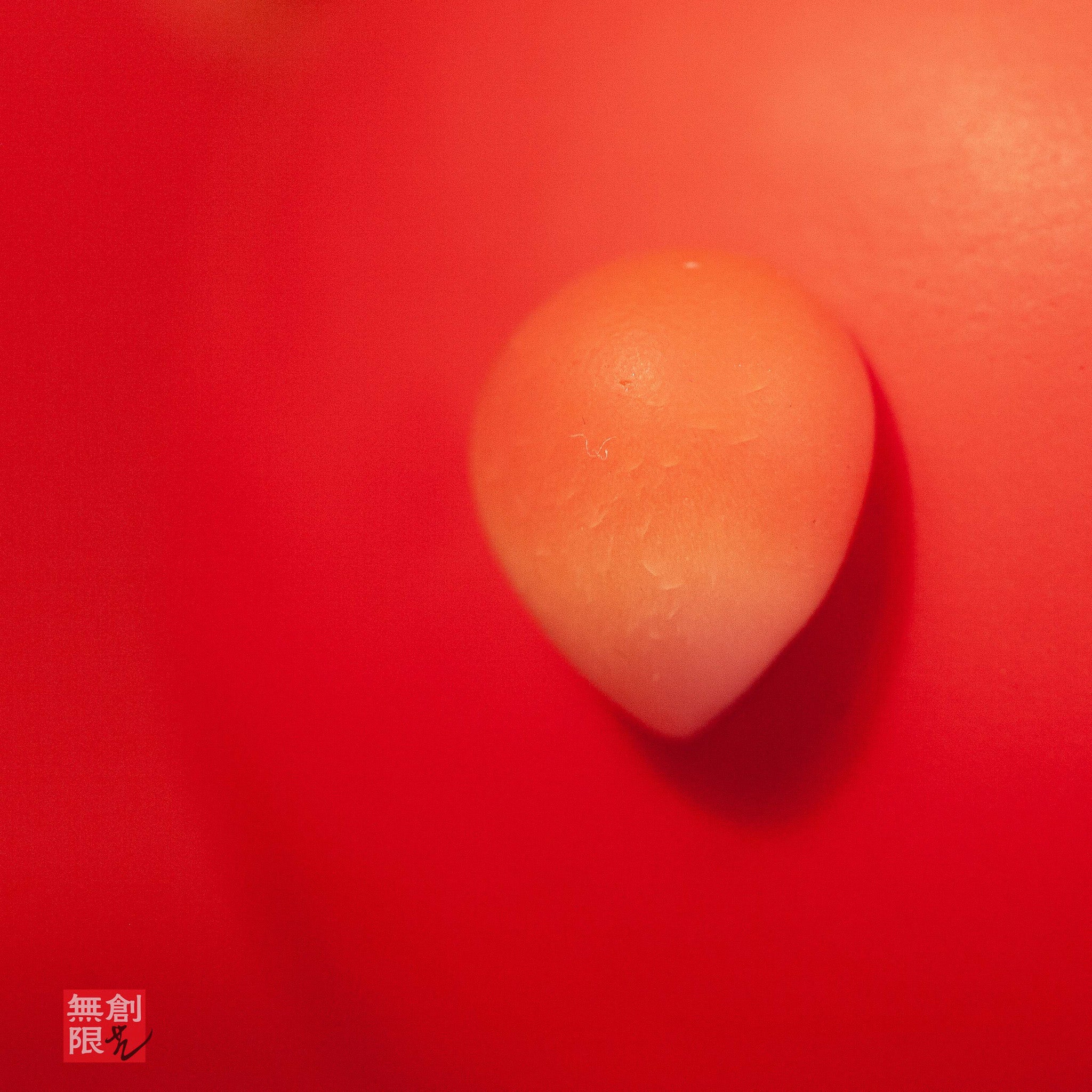 🐐The Goat — Earth’s Gentle Spirit