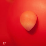 🐐The Goat — Earth’s Gentle Spirit