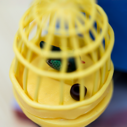 Old Beijing: Bird Walking