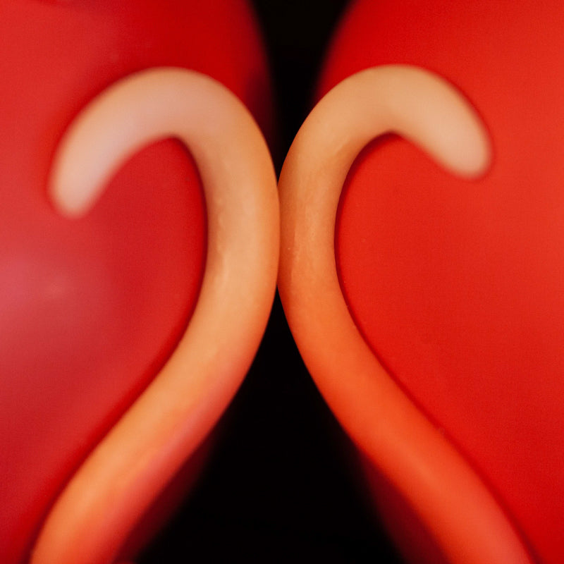 🐀 The Rat — The First Light of Wisdom