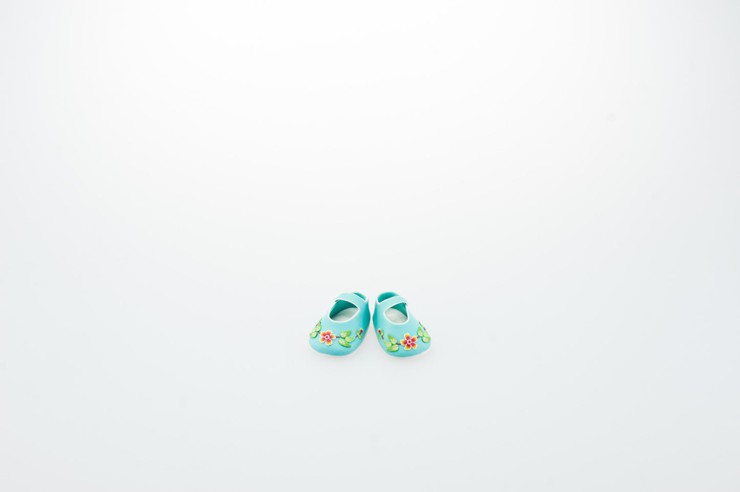 Embroidered Shoes (Pair)
